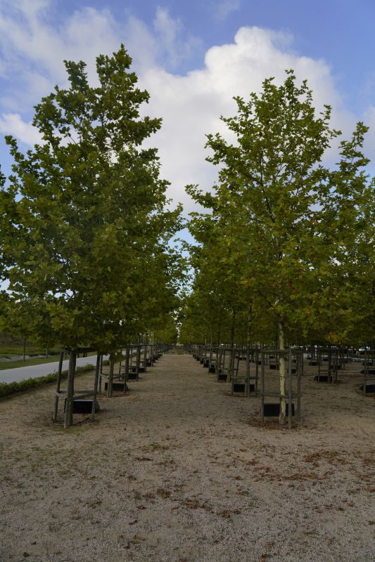 Space-Smart Ideas — On a Budget