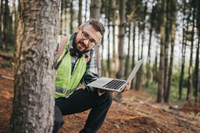 Check the Tree for Signs of Disease, Structural Problems, and Pest Infestations!